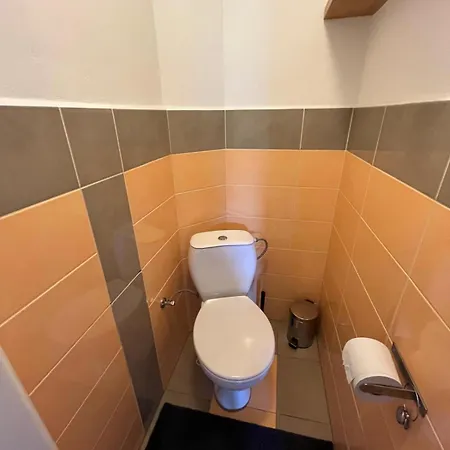 C Luhacovice Homestay *